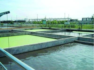 生物處理技術(shù)處理電鍍廢水工藝